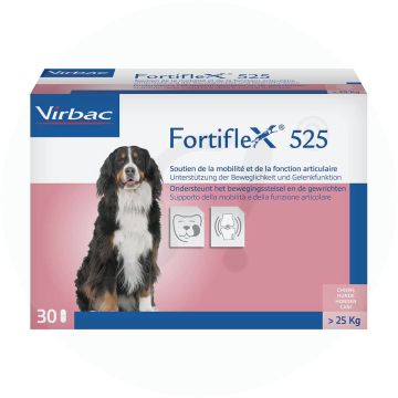 Fortiflex Tabletten 30 Stk. 525 mg