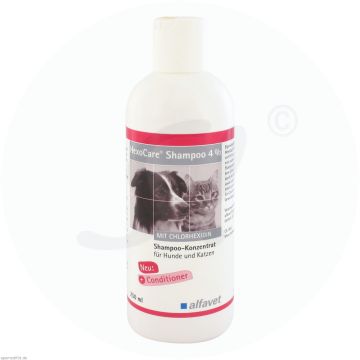 Hexocare Hund/Katze Shampoo 4% 250 ml