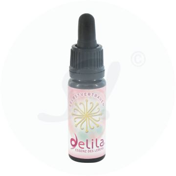 Delila Lebensessenz 6 - Selbstvertrauen Usp 10 ml