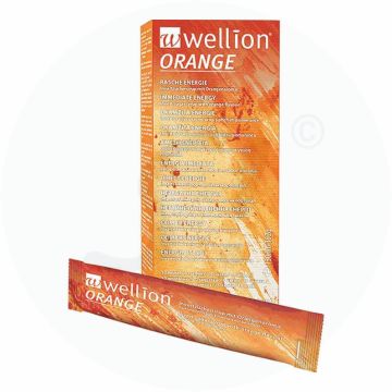 Wellion Invertzucker Sirup 10 Stk. Orange