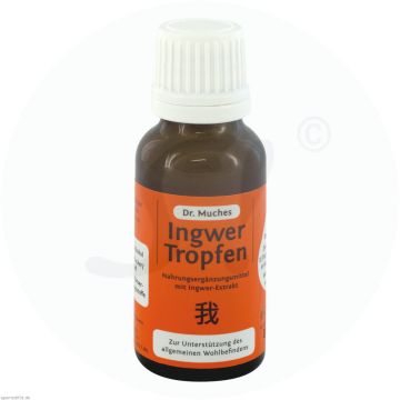 Dr. Muches Ingwertropfen 20 ml