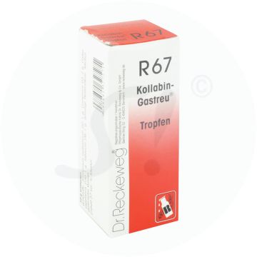 Dr. Reckeweg Kollabin-Gastreu R67 Tropfen 50 ml