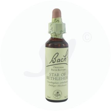 Apopharm Bachblüten 29 Star Of Bethlehem 20 ml