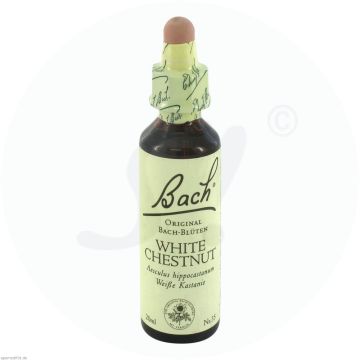Apopharm Bachblüten 35 White Chestnut 20 ml