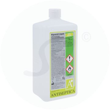 Antiseptisches Flächendesinfektionsmittel Big. Liquid 1 L