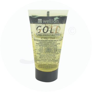 Wellion Invertzucker Sirup 40 g Gold