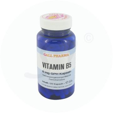 Gall Pharma Vitamin B 5 6 mg Kapseln