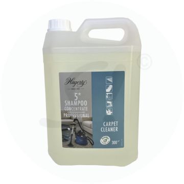 Hagerty 5 Stern Professional Shampoo 5 L