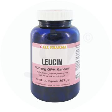 Gall Pharma Leucin 500 mg Kapseln