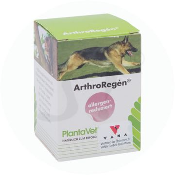 Arthroregen Tabletten 160 Stk.