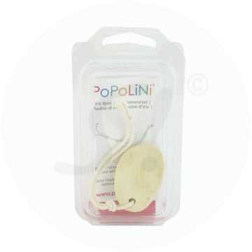 Popolini Veilchenwurzel 1 Stk.