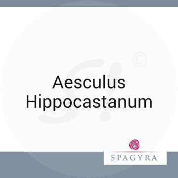 Aesculus Hippocastanum Spagyra 30 ml D 2 Dilution