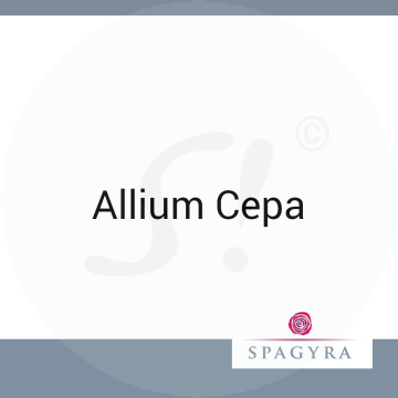 Allium Cepa Spagyra 10 ml D 200 Globuli