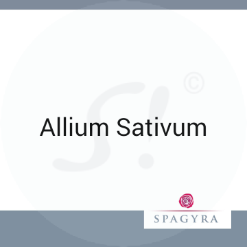 Allium Sativum Spagyra Urtinktur 50 ml