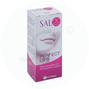 SAL 29 Perfect Lips 4 g