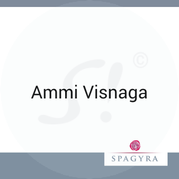 Ammi Visnaga Spagyra 10 ml D 12 Globuli