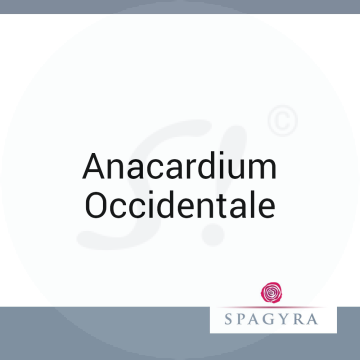 Anacardium Occidentale Spagyra C 200 Globuli 10 ml