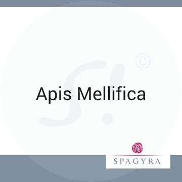 Apis Mellifica Spagyra 50 ml