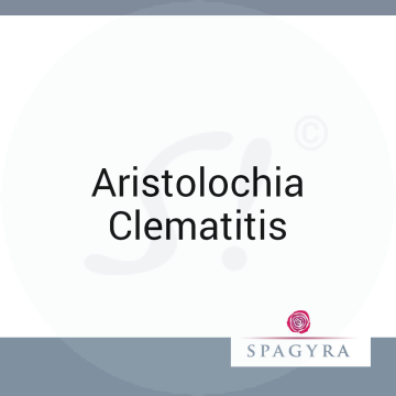 Aristolochia Clematitis Spagyra 20 ml D 12 Globuli