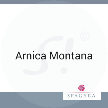 Arnica Montana Spagyra 2 ml XMK  Globuli