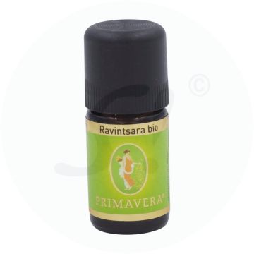 Primavera Ätherisches Öl Ravin 5 ml