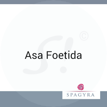 Asa Foetida Spagyra D 4 Dilution 10 ml