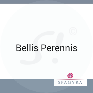 Bellis Perennis Spagyra 20 ml D 12 Globuli