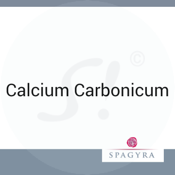Calcium Carbonicum Spagyra 10 ml XMK  Globuli