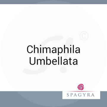 Chimaphila Umbellata Spagyra D 3 Globuli 10 ml