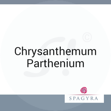 Chrysanthemum Parthenium Spagyra LM 12 Dilution 20 ml