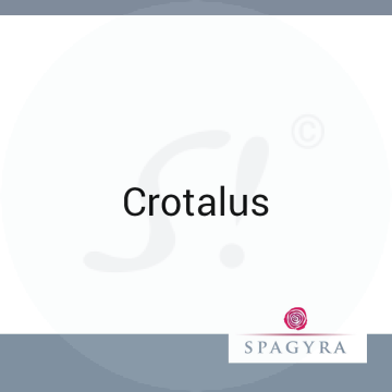 Crotalus Spagyra 10 ml D 20 Globuli