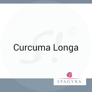 Curcuma Longa Spagyra 50 ml D 1 Urtinktur