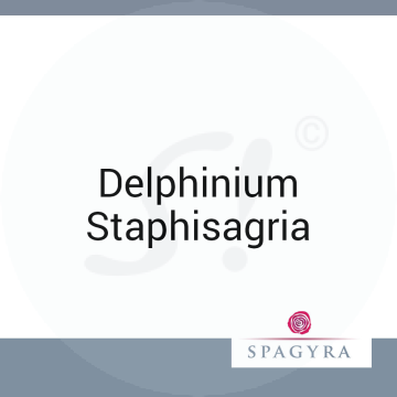 Delphinium Staphisagria Spagyra 20 ml Q 20 Dilution