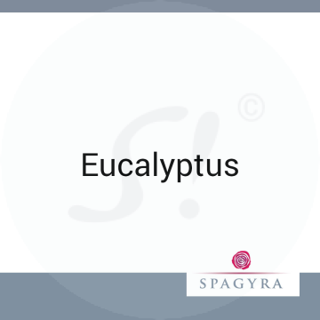 Eucalyptus Spagyra D 4 Globuli 10 ml