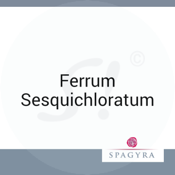 Ferrum Sesquichloratum Spagyra 10 ml C 30 Globuli