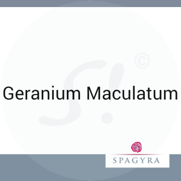Geranium Maculatum Spagyra D 12 Globuli 10 ml