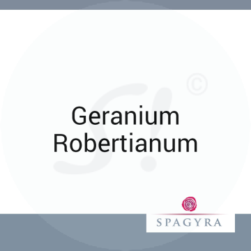 Geranium Robertianum Spagyra Urtinktur 10 ml