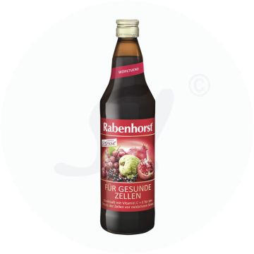 Rabenhorst Für Gesunde Zellen Mehrfruchtsaft 750 ml
