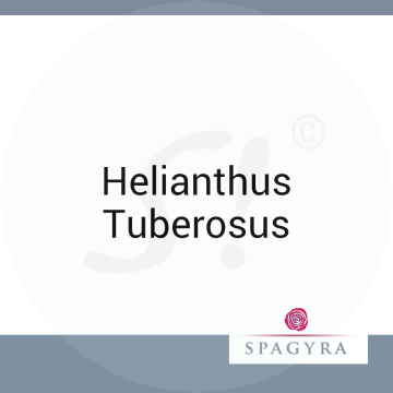 Helianthus Tuberosus Spagyra 10 ml