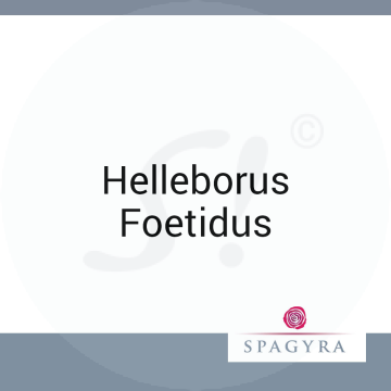 Helleborus Foetidus Spagyra D 5 Dilution 50 ml