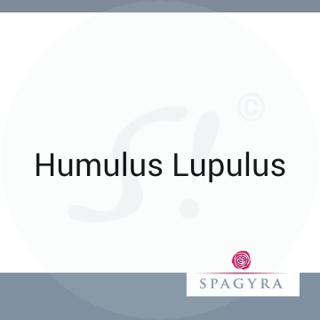 Humulus Lupulus Spagyra 10 ml Urtinktur