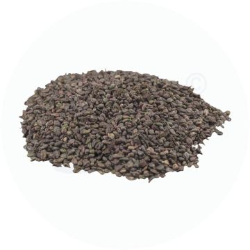Traubenkernkissen Beutel Nachfüllung 1000 g