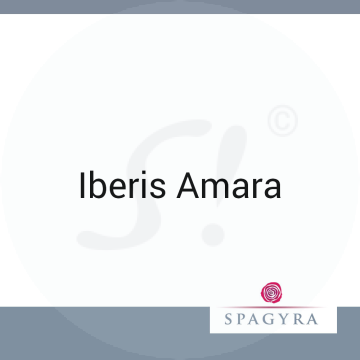 Iberis Amara Spagyra D 6 Globuli 10 ml