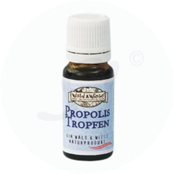 Propolis Tropfen Wald & Wiese 10 ml enthält Alkohol