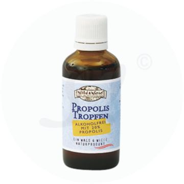 Propolis Tropfen Wald & Wiese 50 ml Alkoholfrei