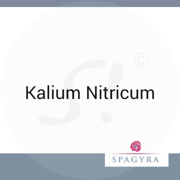 Kalium Nitricum Spagyra D 2 Lösung 10 ml