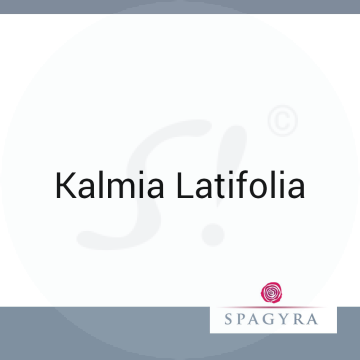 Kalmia Latifolia Spagyra C 3 Globuli 10 ml