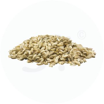 Dinkelspelz Nachfüll Beutel 500 g