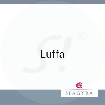 Luffa Spagyra C 6 Globuli 10 ml