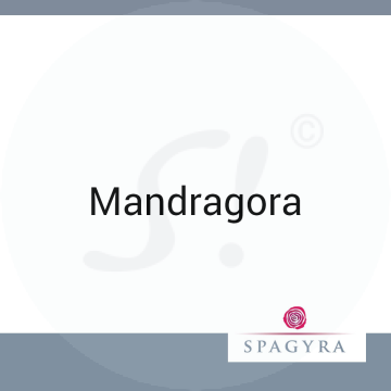 Mandragora Spagyra 50 ml D 6 Globuli